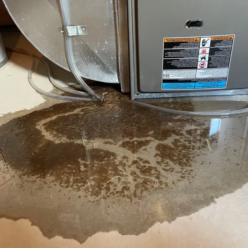 Pipe Burst and Leak Restoration in Tuttle, OK